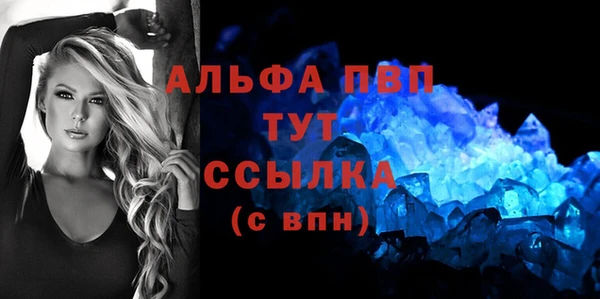 spice Каменка