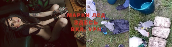 ГАЛЛЮЦИНОГЕННЫЕ ГРИБЫ Карпинск