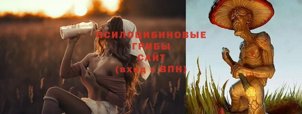 spice Каменка