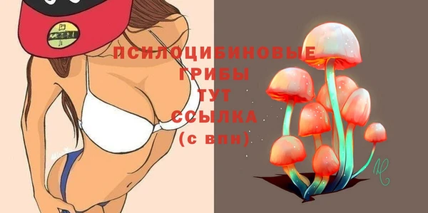 таблы Каменногорск