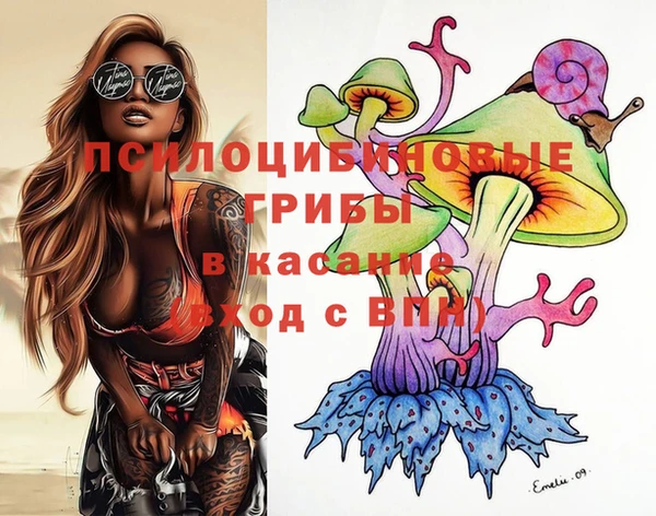 spice Каменка