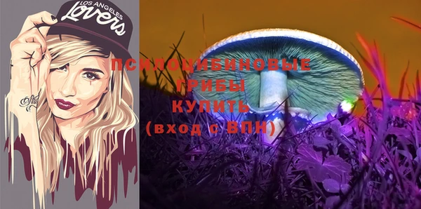 spice Каменка