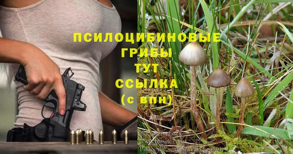 эйфоретик Каменск-Шахтинский
