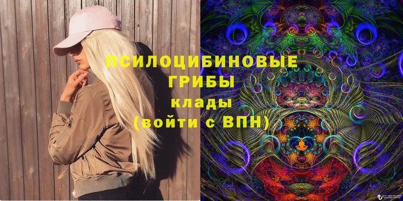 Галлюциногенные грибы Magic Shrooms Киржач