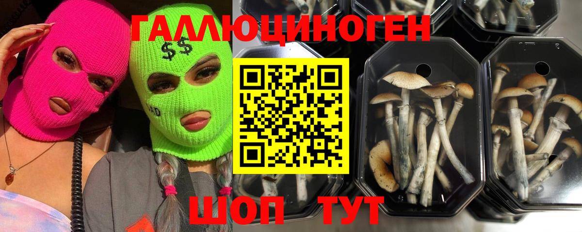 Галлюциногенные грибы прущие грибы Киржач